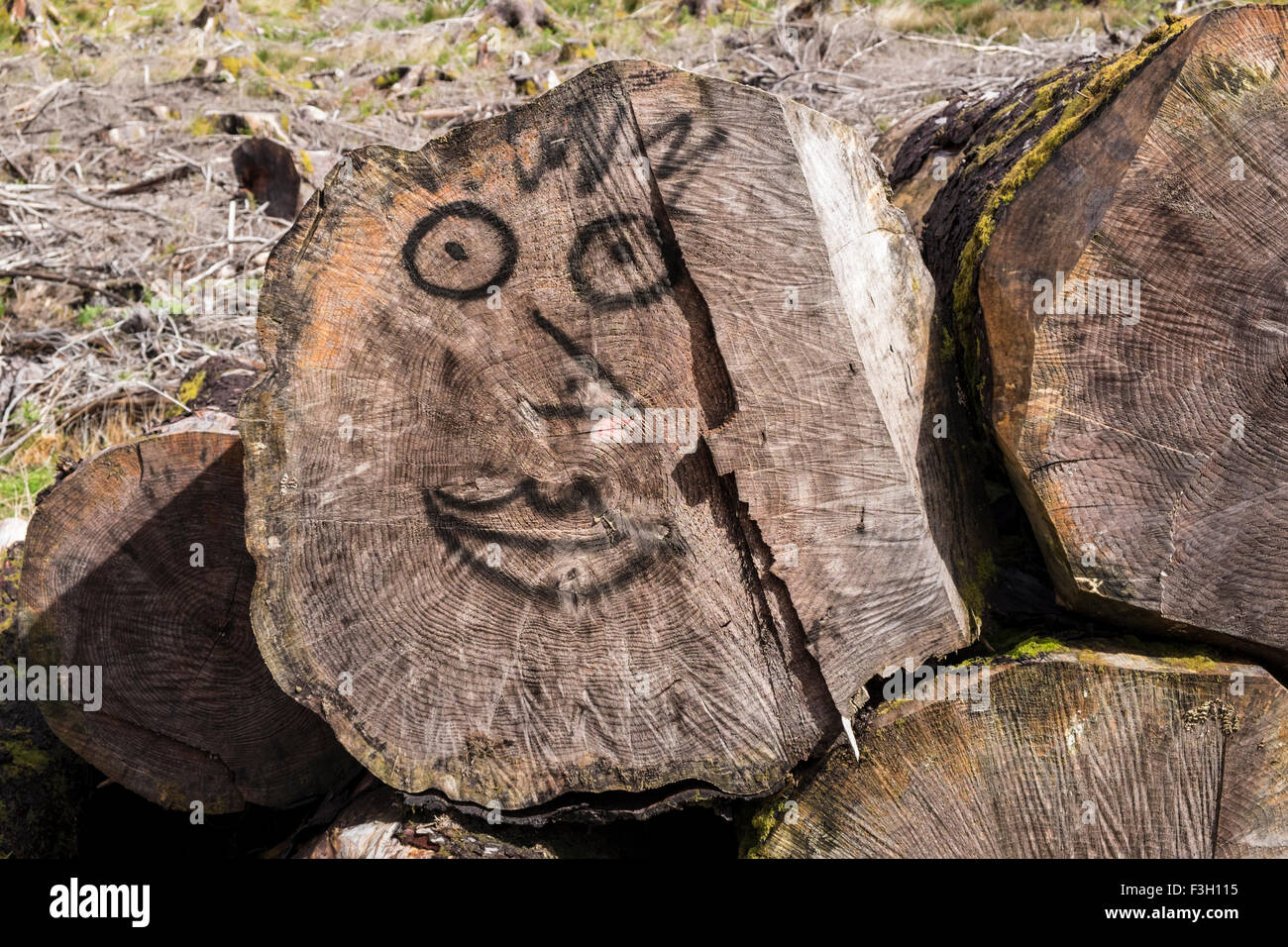 Tree rings and painted face Stock Photo