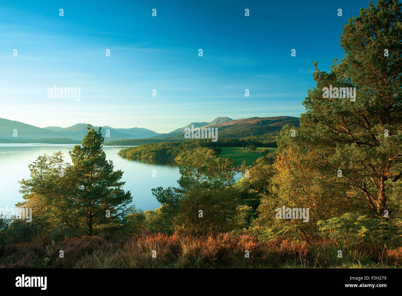 Ben Lomond and Loch Lomond from Craigie Fort above Balmaha, Loch Lomond and the Trossachs National Park, Stirlingshire Stock Photo