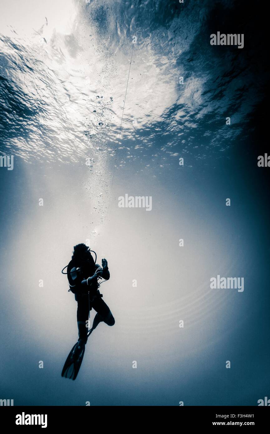 Scuba diver underwater doing a safety decompression stop, Lombok, Indonesia Stock Photo