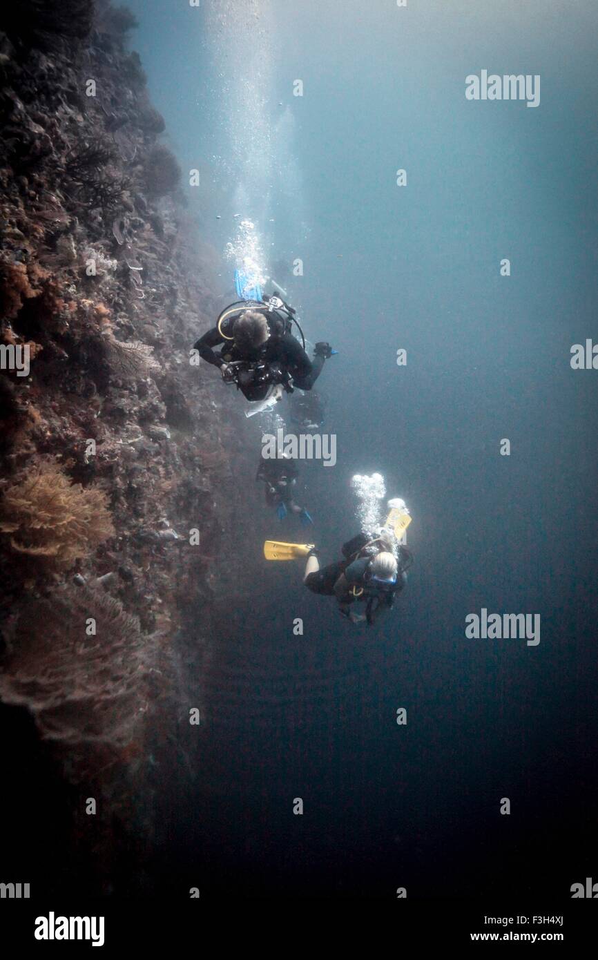 Scuba divers look down into the abyss, Raja Ampat, West Papua, Indonesia Stock Photo