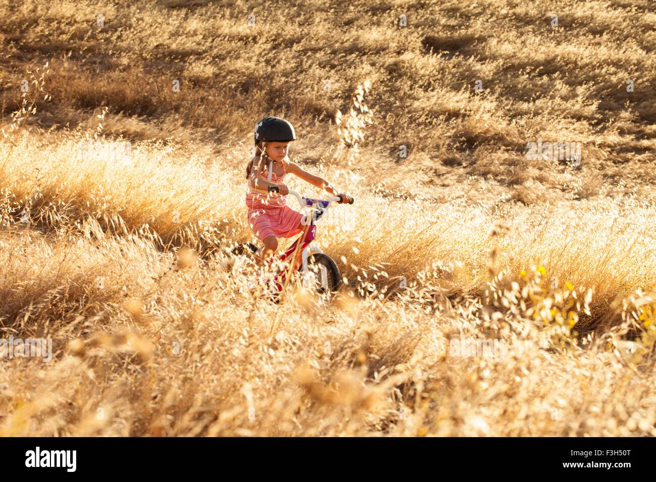 Girl cycling, Mt Diablo State Park, California, USA Stock Photo