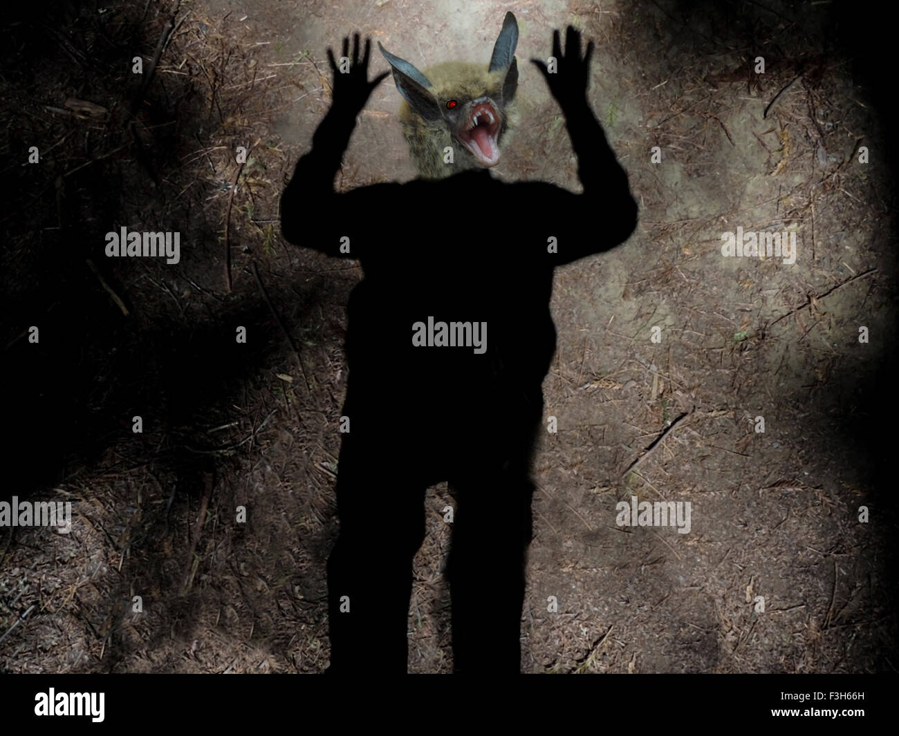 A Bat and a shadow are composited into a scary creature for halloween horror. Stock Photo