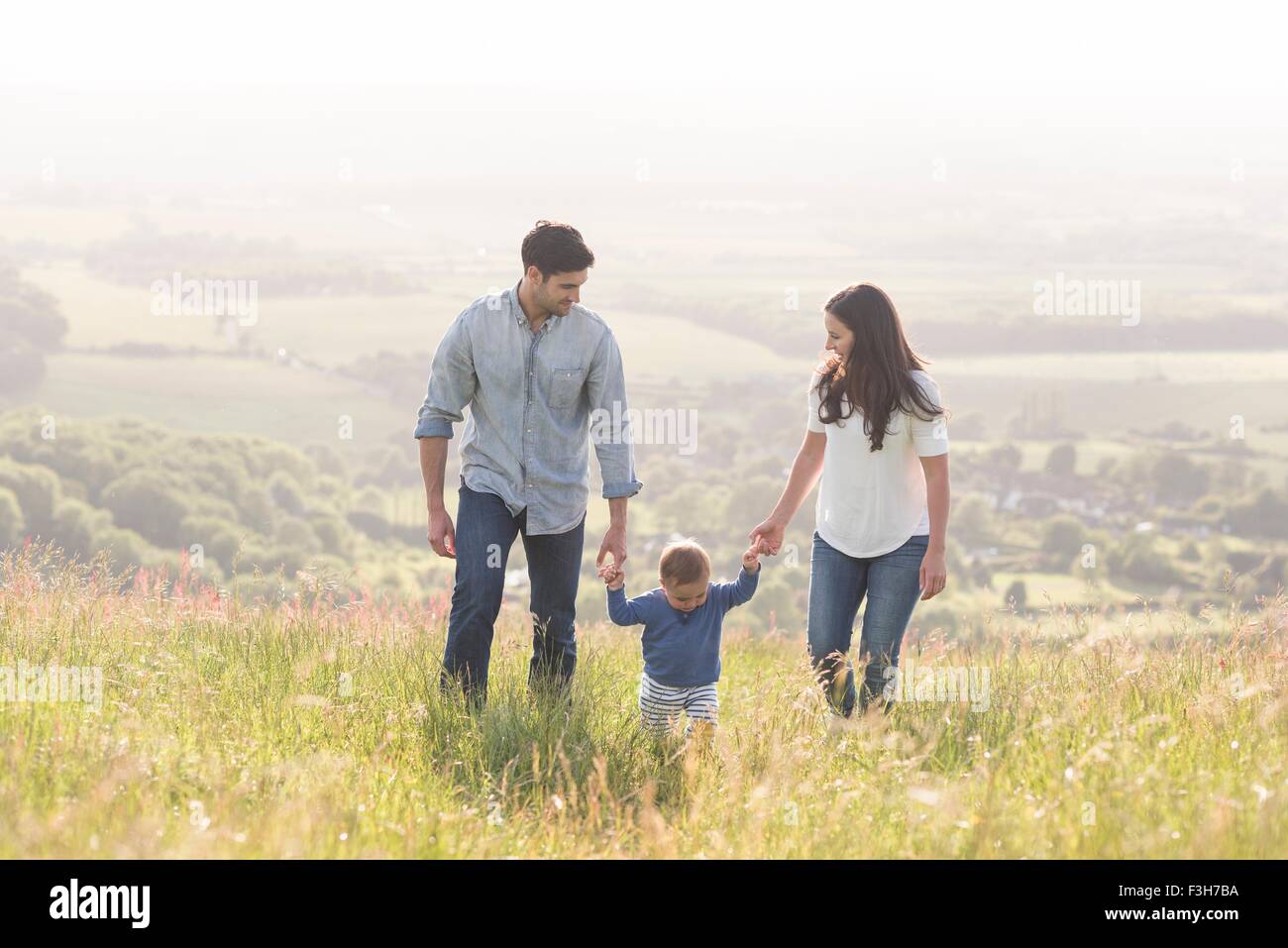 Young family walking in field, hand in hand Stock Photo