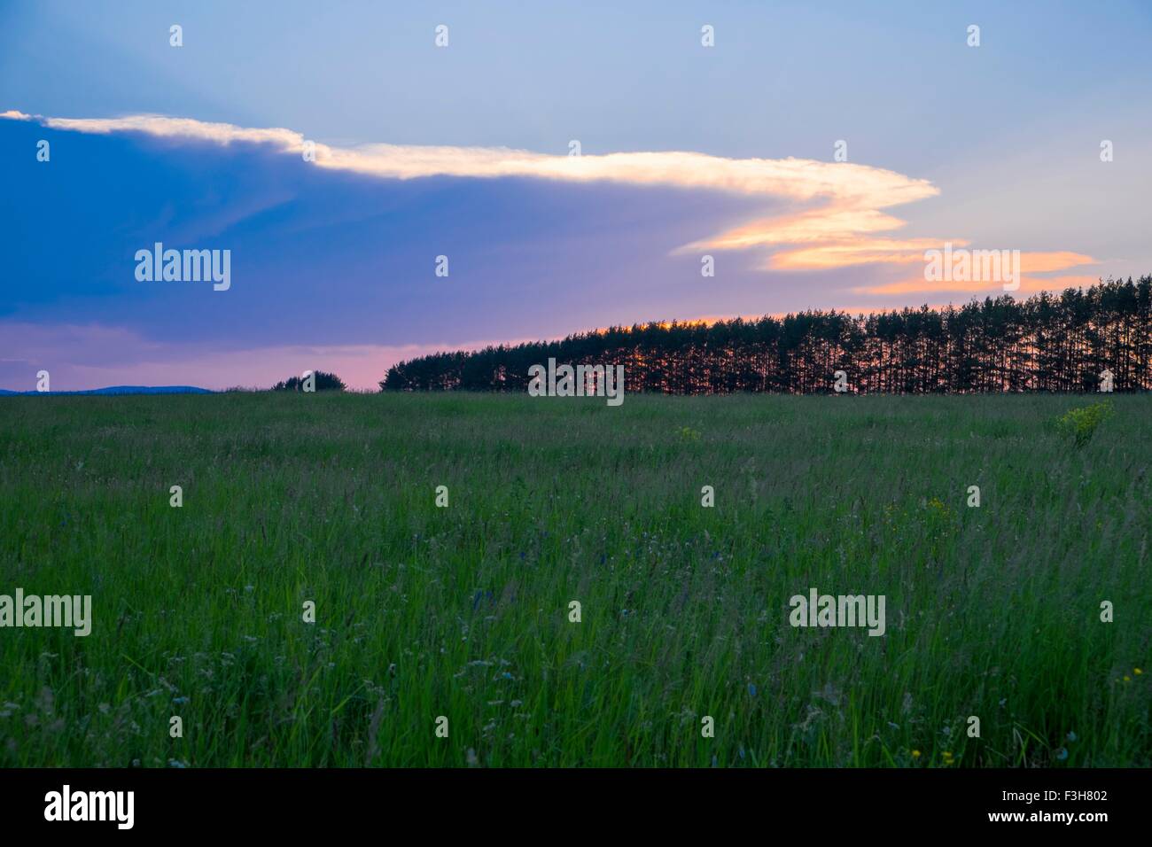 Landscape, Nizhniy Tagil, Sverdlovsk region, Russia Stock Photo