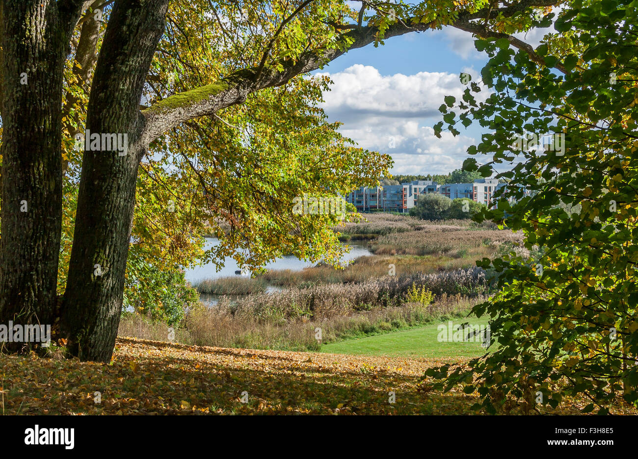 Autumn City Landscape Stock Photo
