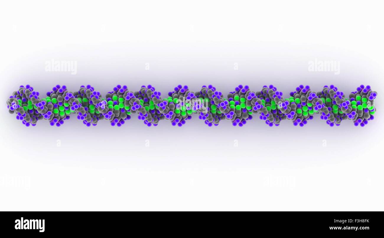 DNA strand Stock Photo