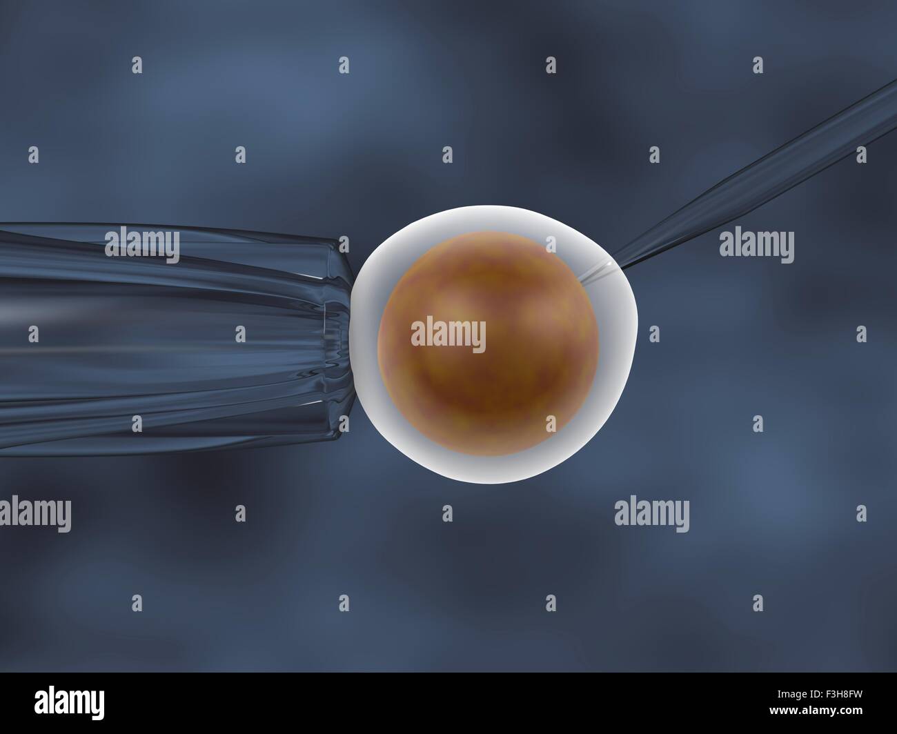 In vitro fertilization. 3D illustration of an in vitro cloning assay Stock Photo