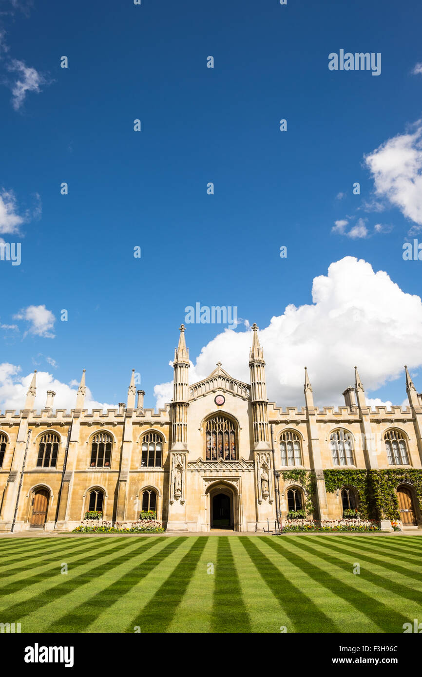 Vertical perspective view of Corpus Christi College Cambridge england with blue sky and lovely stripped lawn. Stock Photo