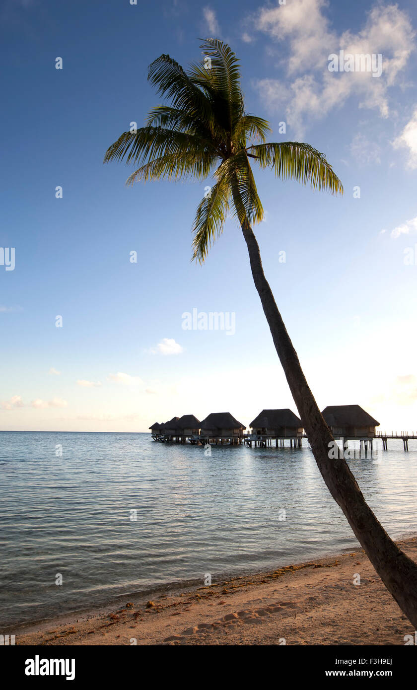Lagoon sandy beach palm hi-res stock photography and images - Alamy