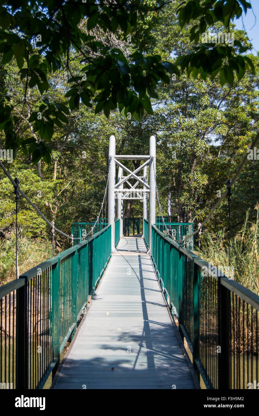 The suspension bridge over the Crocodile River in the Lowveld National Botanical Garden Stock Photo