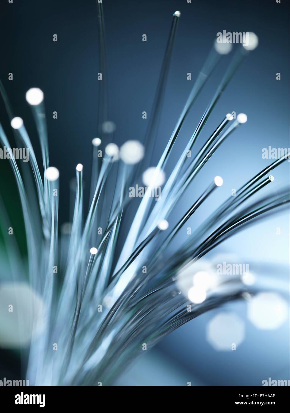 Bundles of illuminated optical fibres used to carry high volumes of data Stock Photo