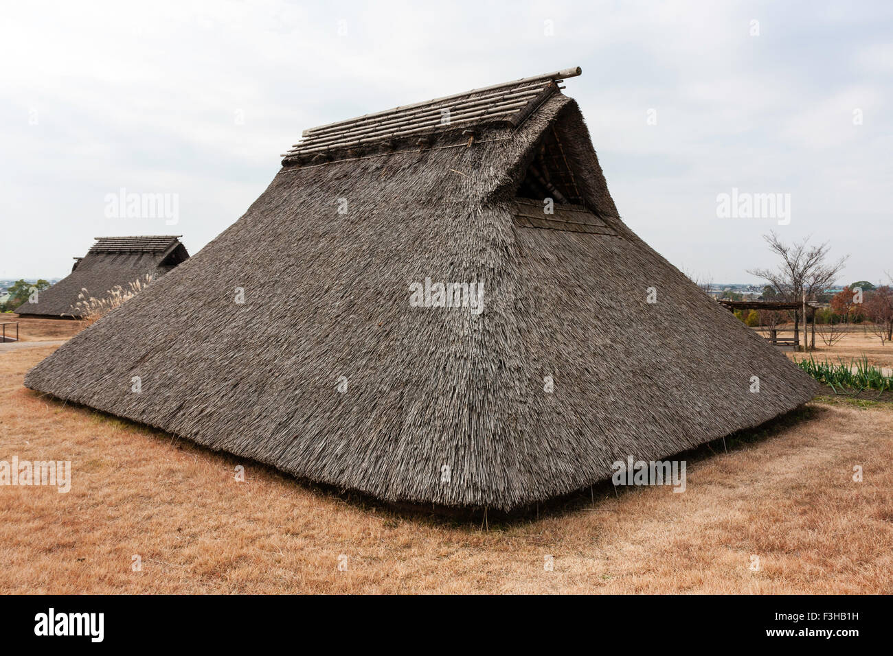 pit house model