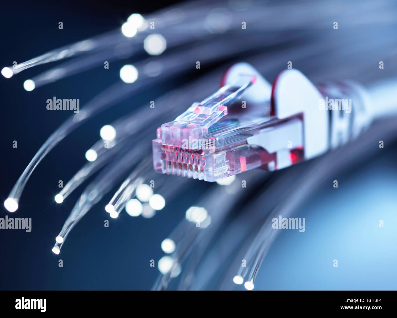 Internet network connector with fibre optics, close-up Stock Photo