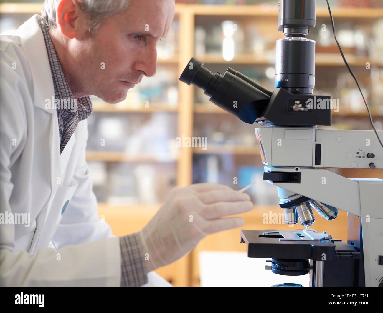 Laboratory scientist viewing slide with upright compound microscope Stock Photo