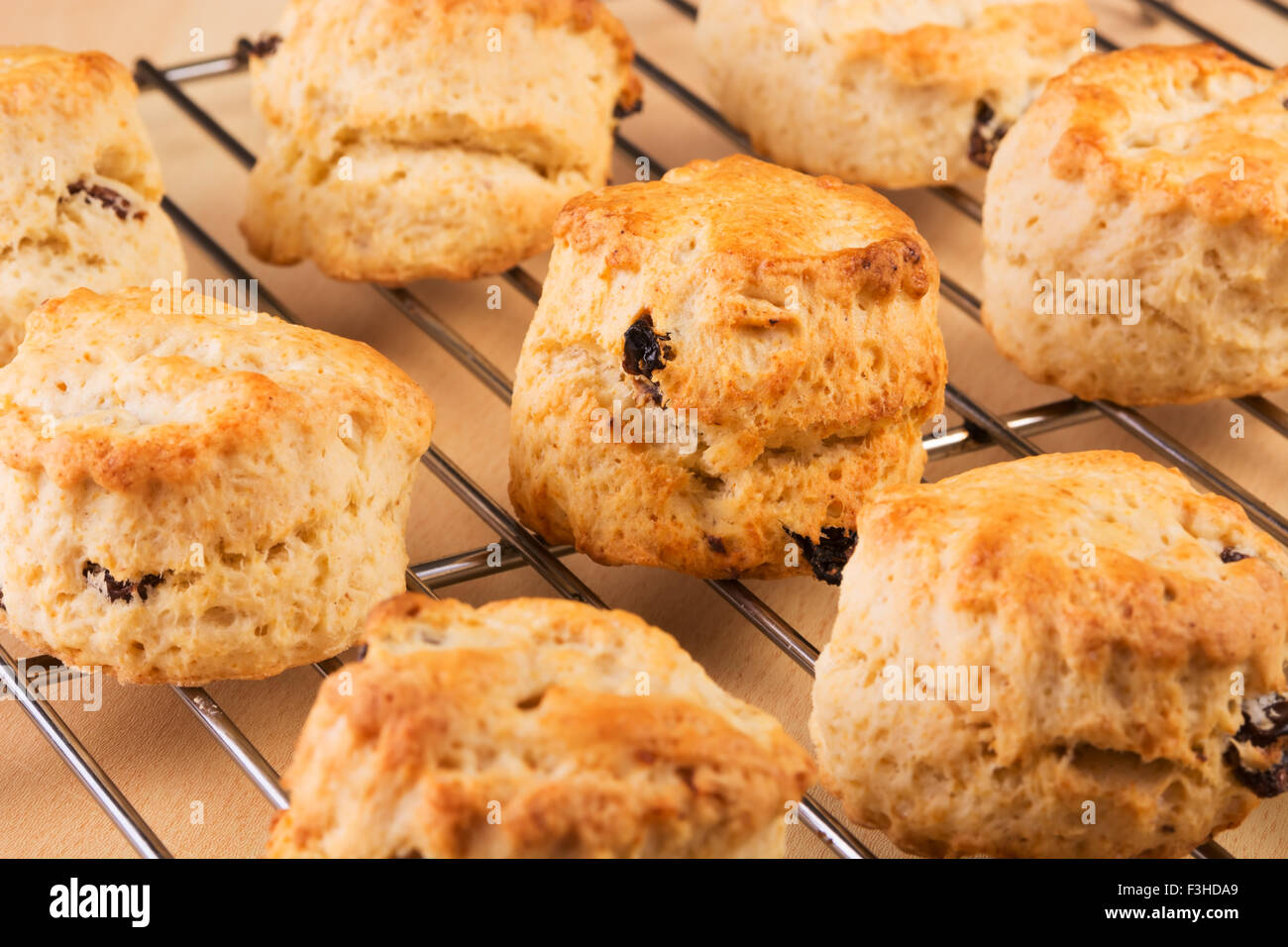 Freshly baked scones on a cooling rack Stock Photo