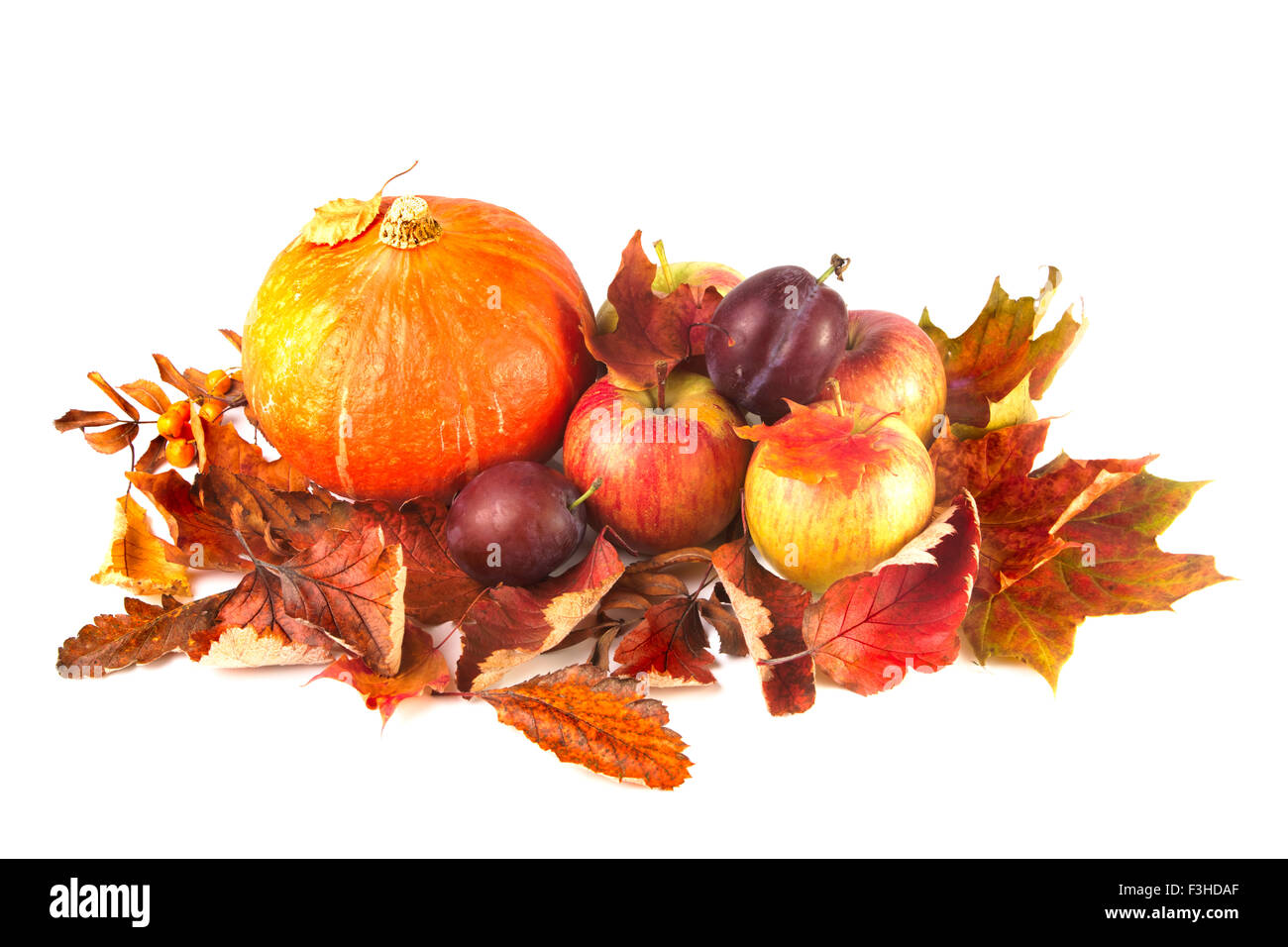 Pumpkin, apples and autumn leaves on white background Stock Photo - Alamy