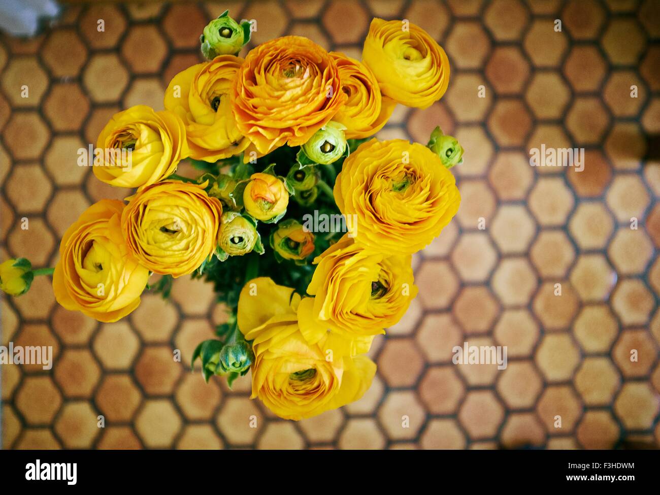 Overhead view of a bunch of yellow roses against honeycomb linoleum floor Stock Photo