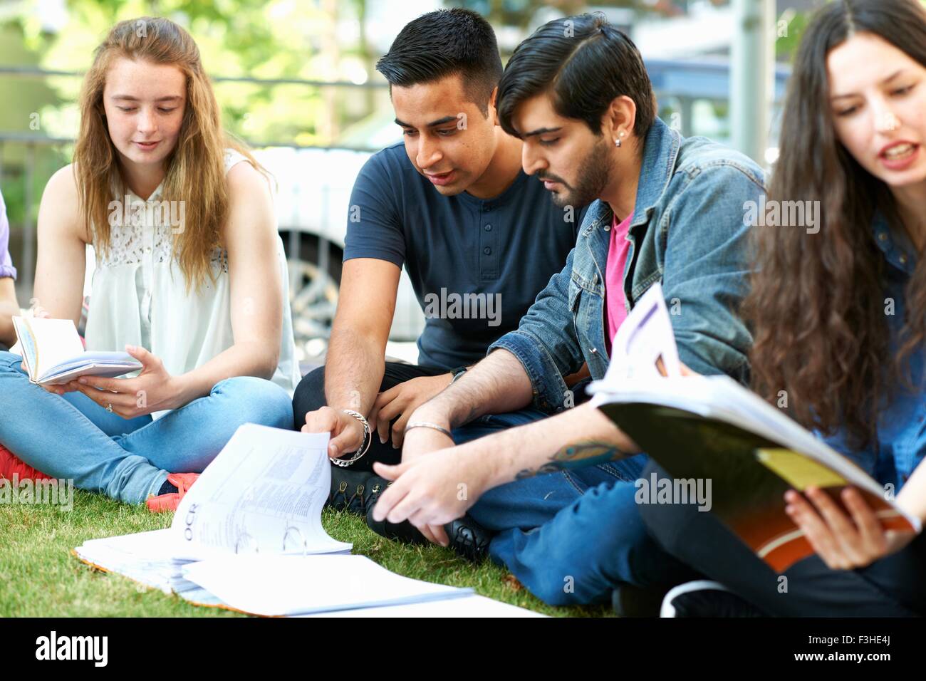 Male and female students sitting working on college campus Stock Photo ...
