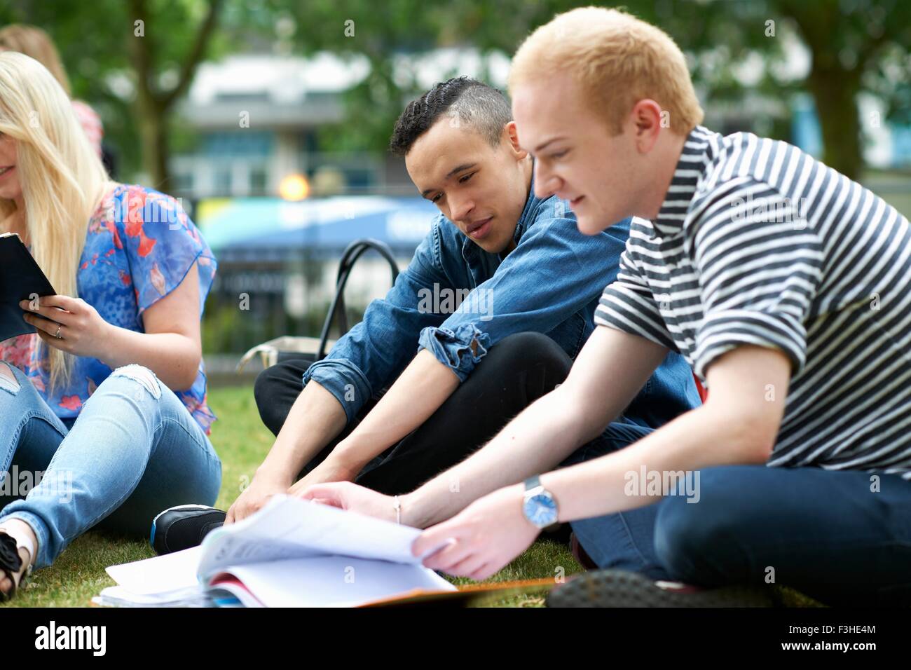 Male students sitting working on college campus Stock Photo