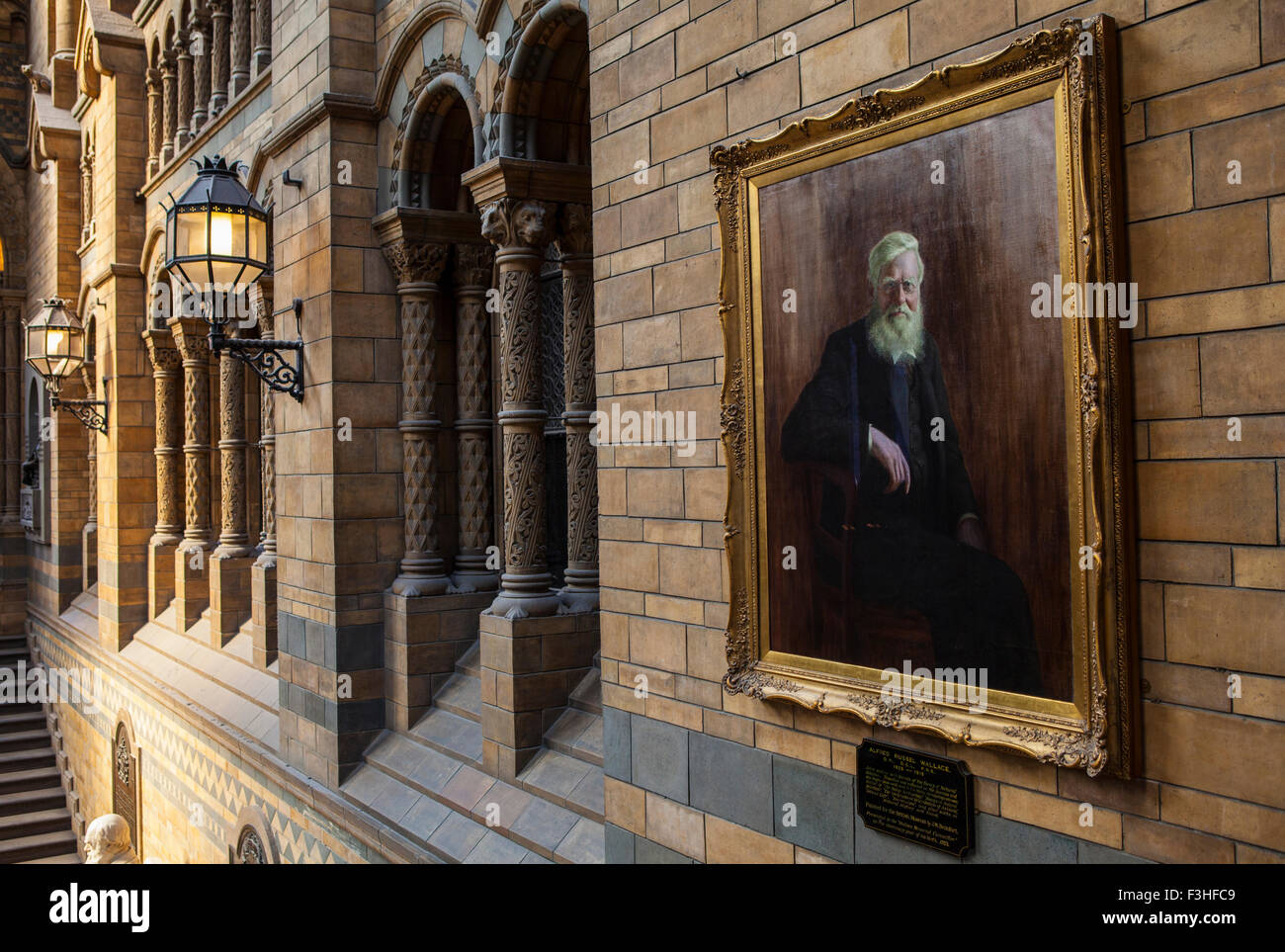 LONDON, UK - OCTOBER 1ST 2015: A painting of Alfred Russel Wallace in the Natural History Museum in London, on 1st October 2015. Stock Photo