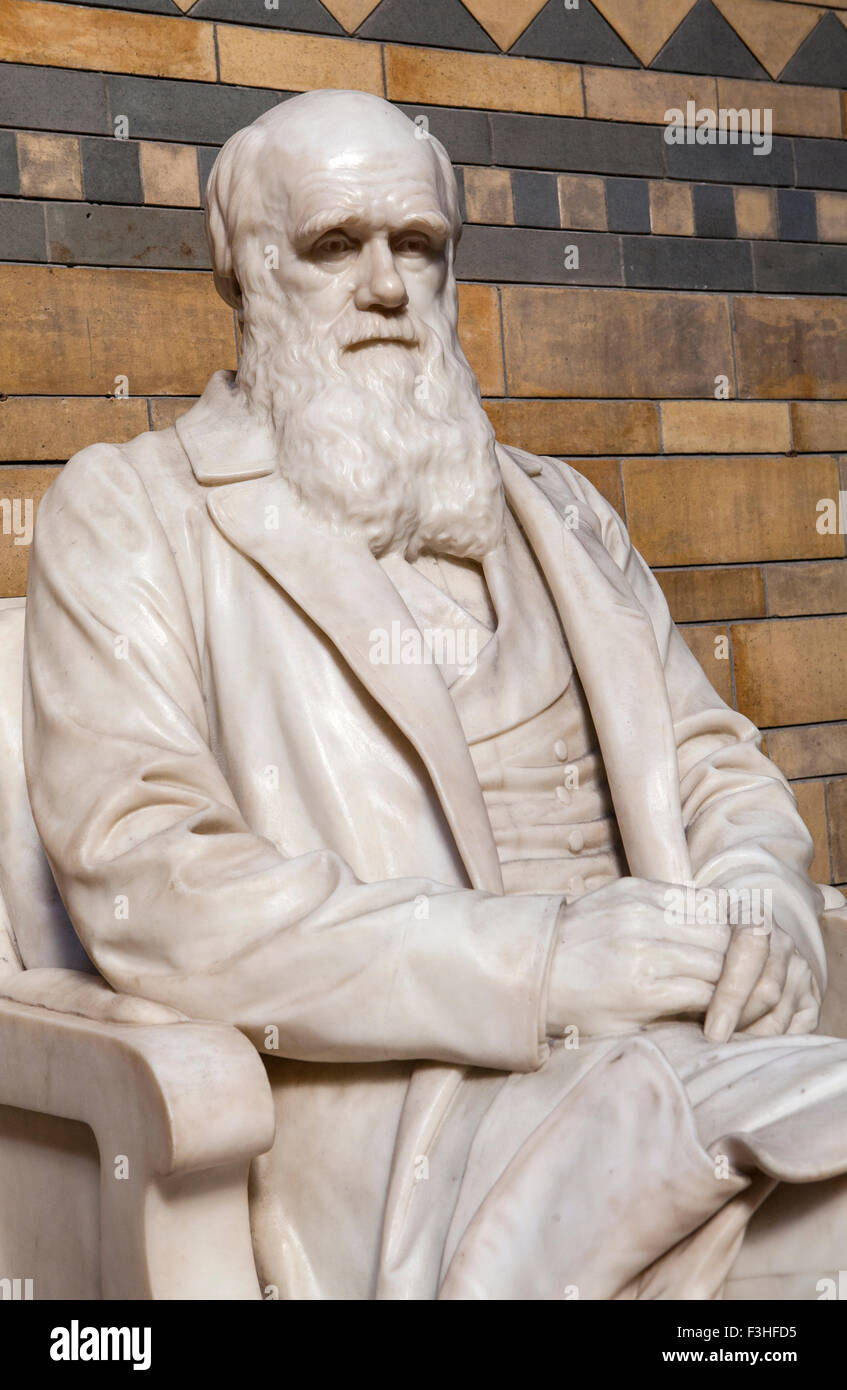 Darwin the natural history museum hires stock photography and images