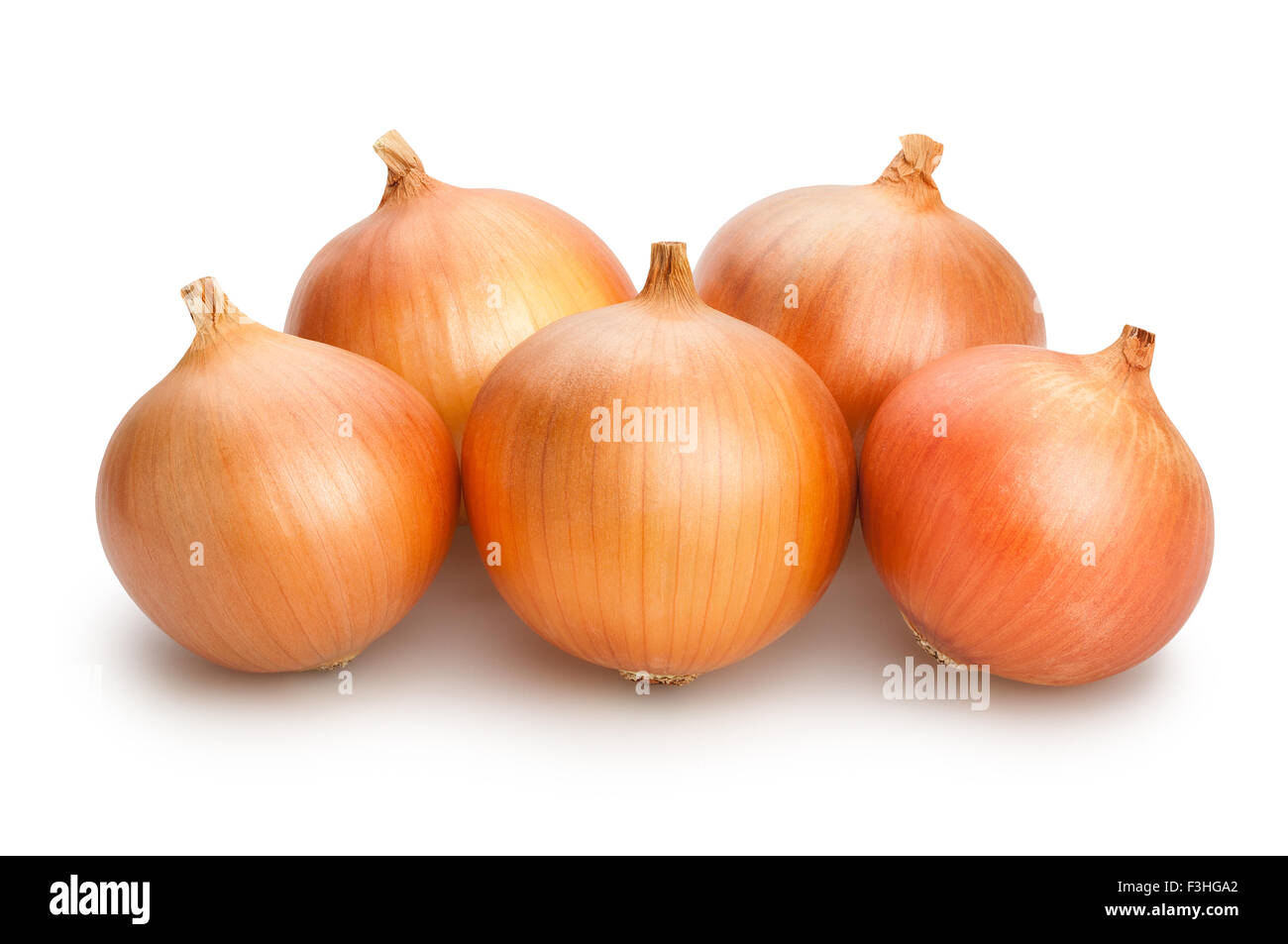 onions isolated Stock Photo