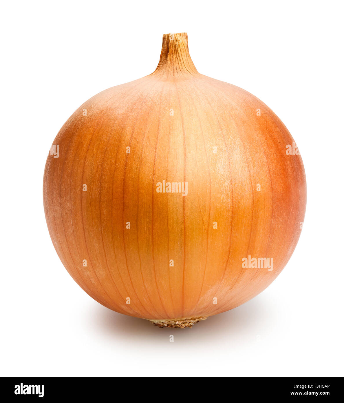 onions isolated Stock Photo