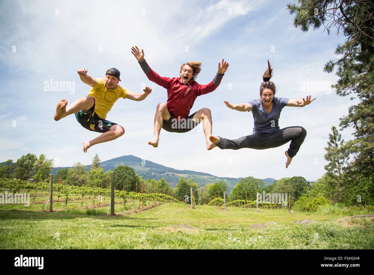 Three adults jumping in rural setting, mid air, laughing Stock Photo