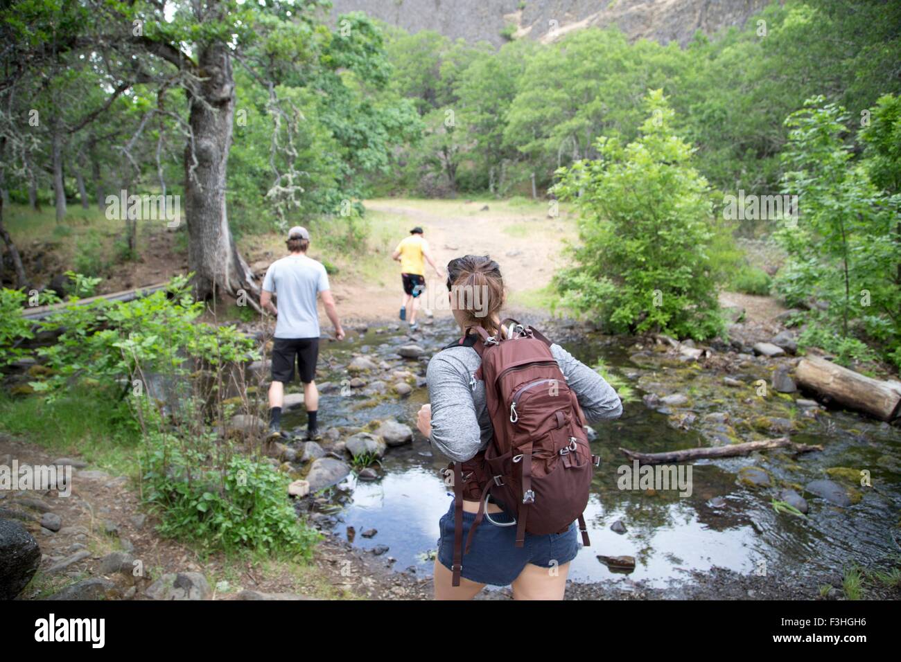 Small group of friends hiking across stream, rear view Stock Photo