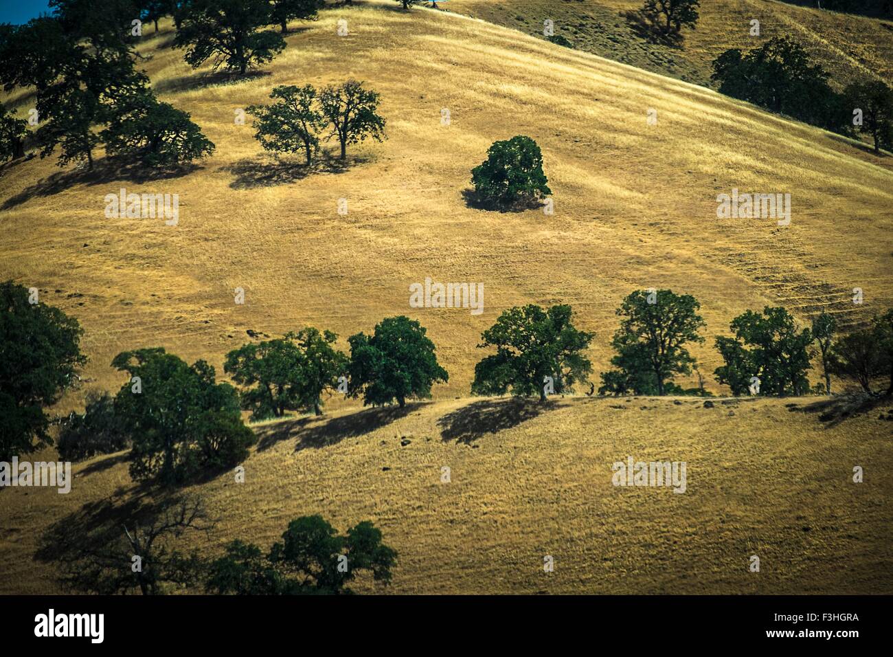 Monterey Bay County, California, USA Stock Photo Alamy
