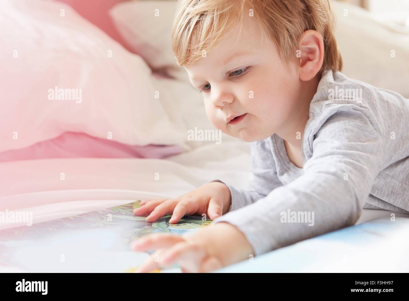Head and shoulders of boy on bed lying on front looking at storybook Stock Photo