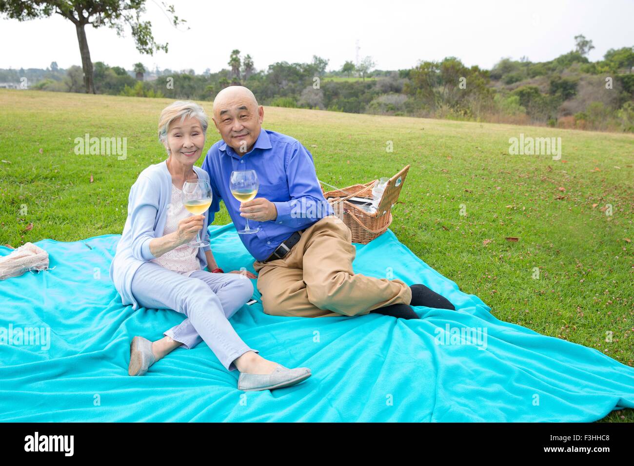 Portrait of senior couple having picnic in park, holding wine glasses Stock Photo