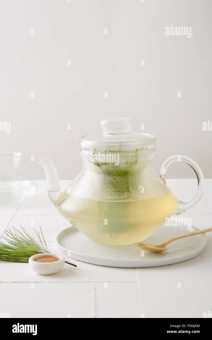 Still life of evergreen tea (pine tea) with organic honey Stock Photo