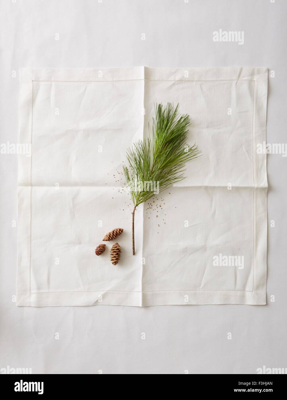 Still life of pine needles and small pine cones on napkin Stock Photo