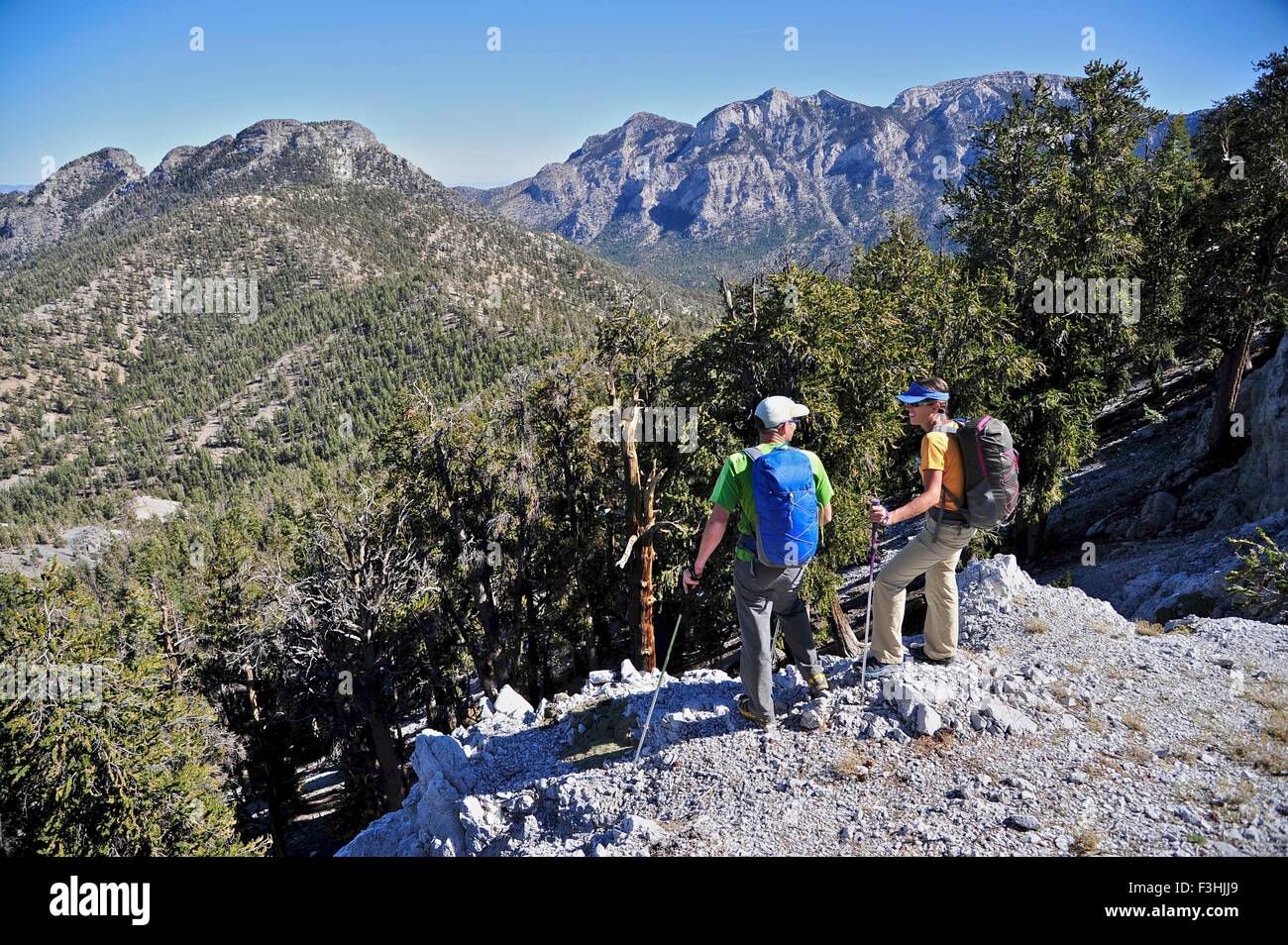 Couple hiking, Mount Charleston Wilderness trail, Nevada, USA Stock Photo