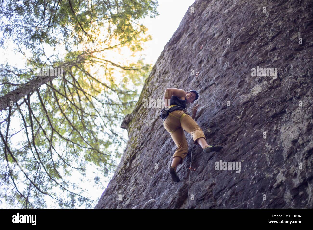 Man rock climbing, French's Dome, Zig Zag, Oregon, USA Stock Photo Alamy