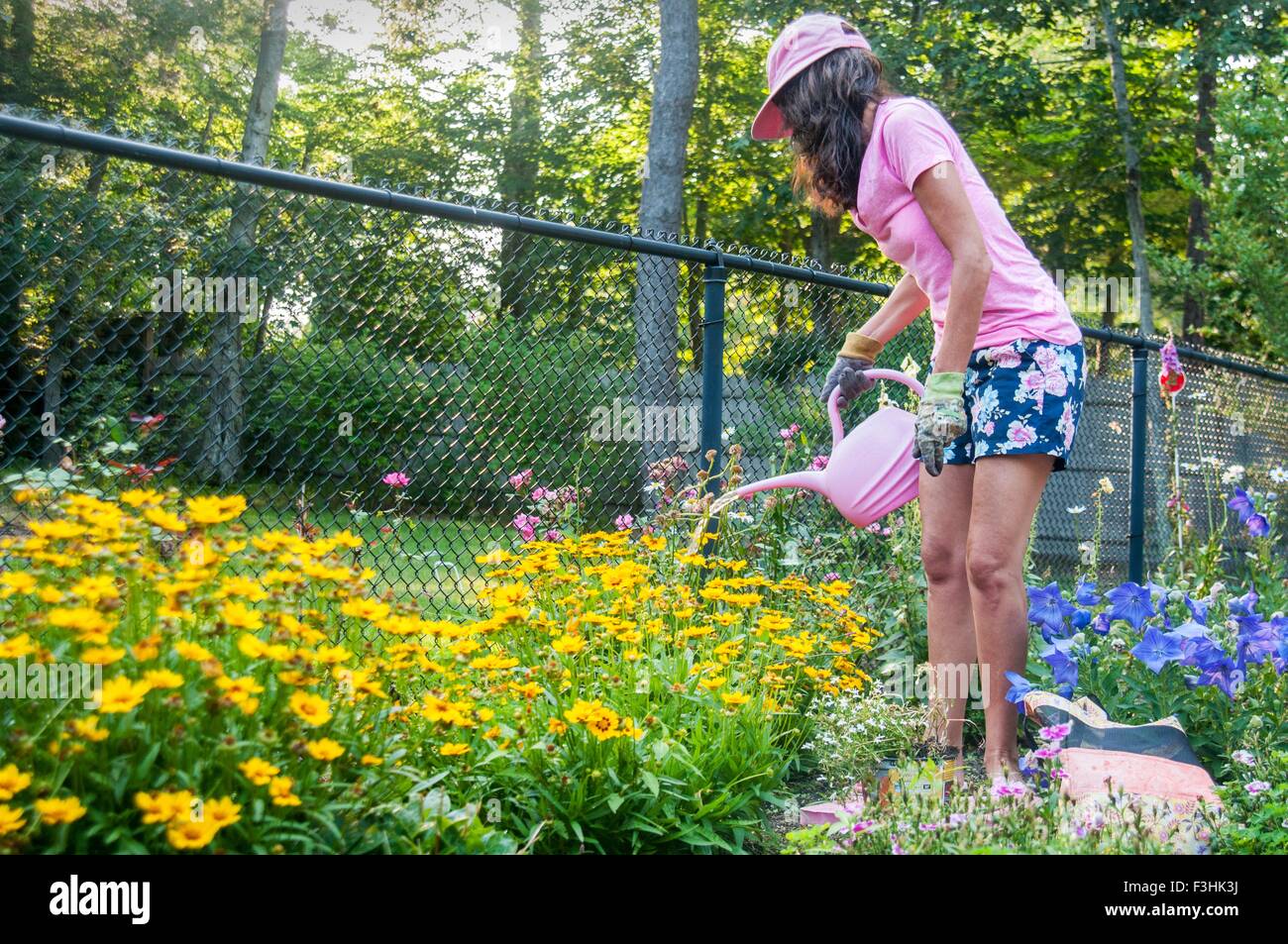 Woman watering flowers in garden Stock Photo