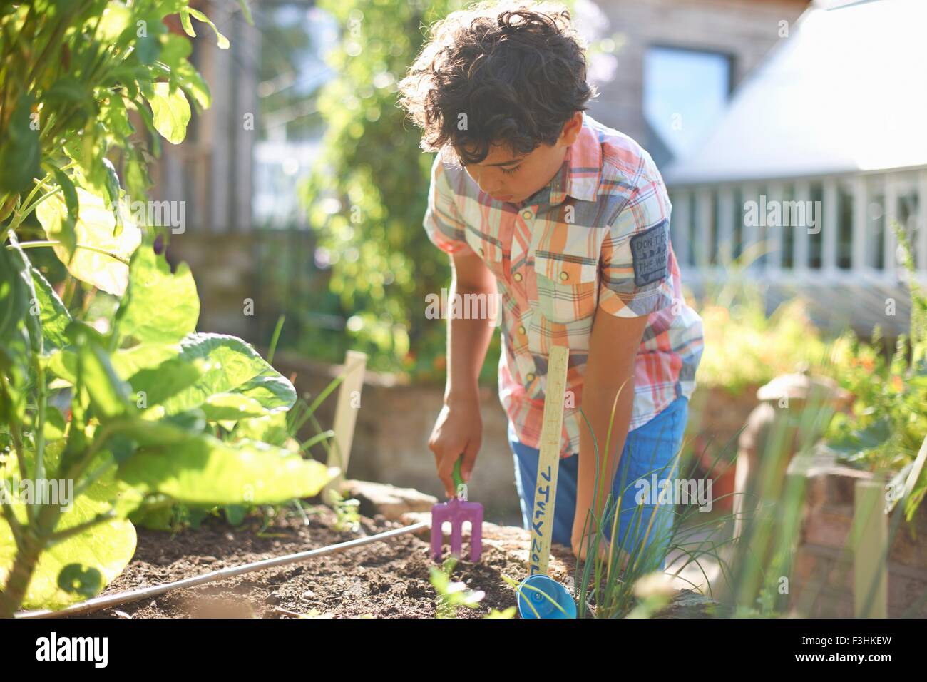 Boy digging raised plant bed in garden Stock Photo Alamy