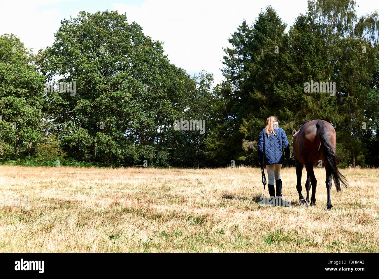Rear view of girl leading horse in field Stock Photo