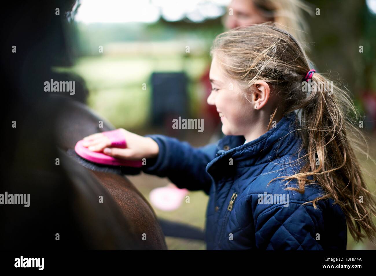 Girl horseback rider grooming horse Stock Photo