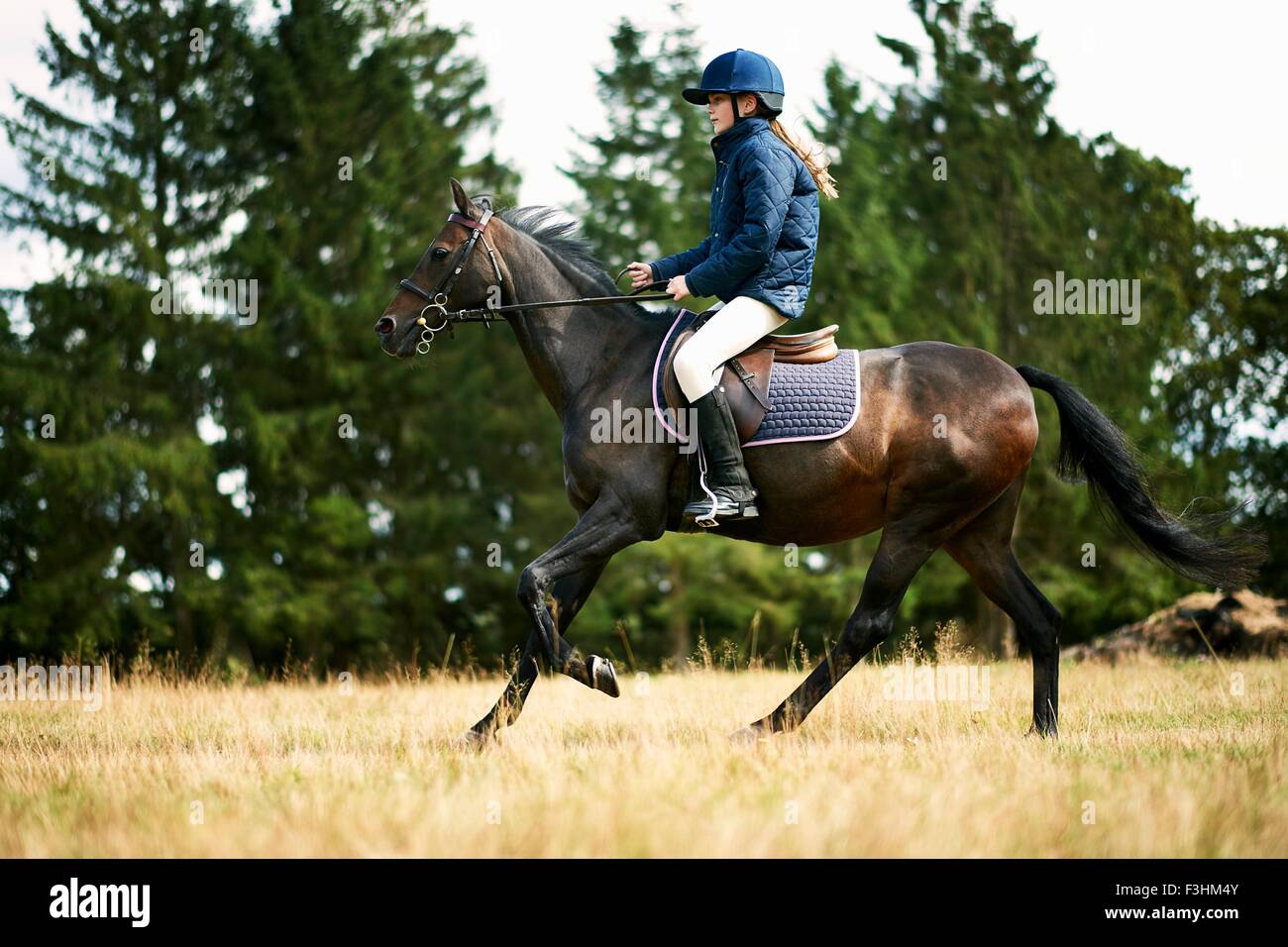Girl riding horse in field Stock Photo