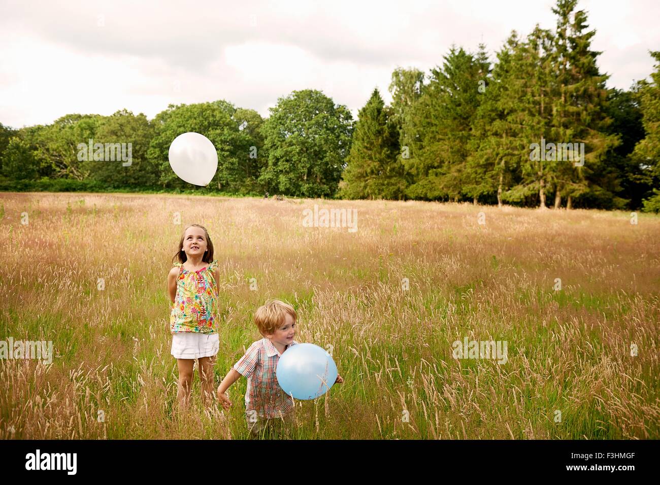 Brother and sister in tall grass playing with balloon Stock Photo