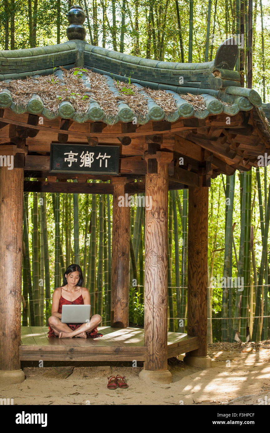 woman working on her laptop in bamboo forrest in Damyang Stock Photo