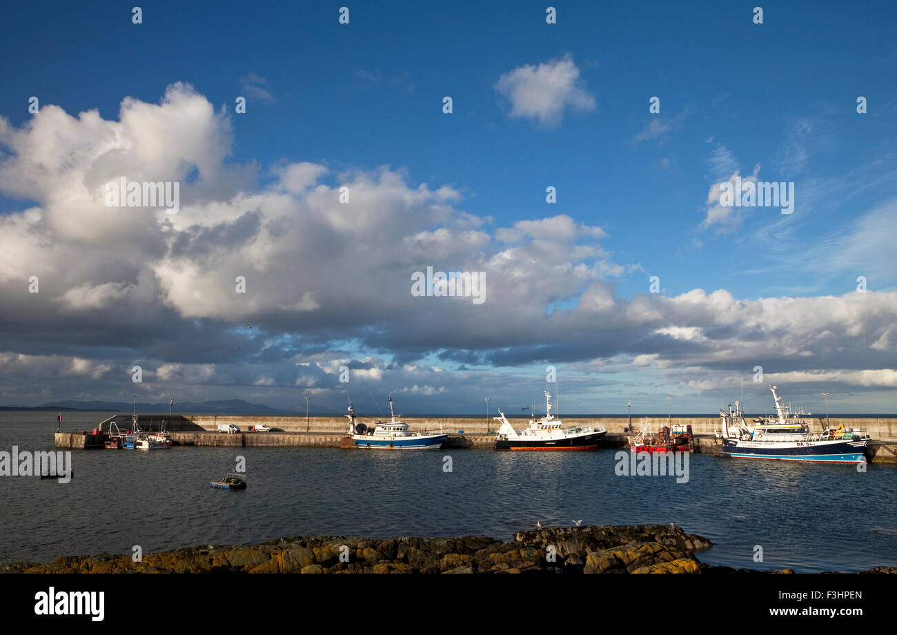 Fishing Boats inthe newly renovated harbour at Port Oriol, Cloger Head, County Louth, Ireland Stock Photo