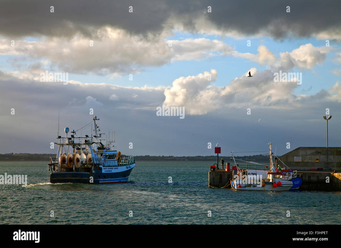 A fishing boat leaving inthe newly renovated Port Oriol harbour, Clogher Head, County Louth, Ireland Stock Photo