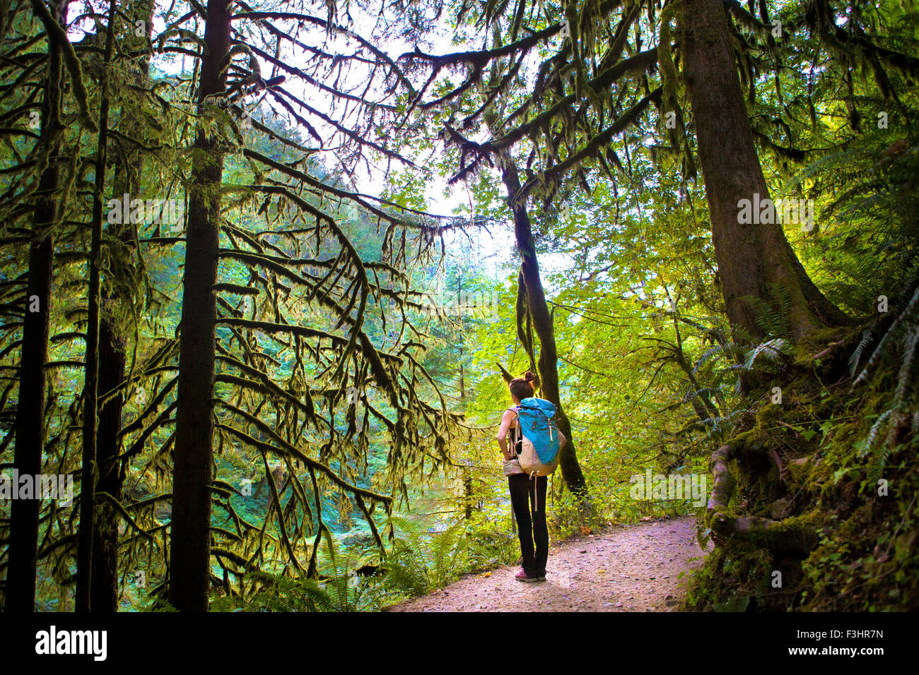 Woman Hiking Eagle Falls Trail Stock Photo