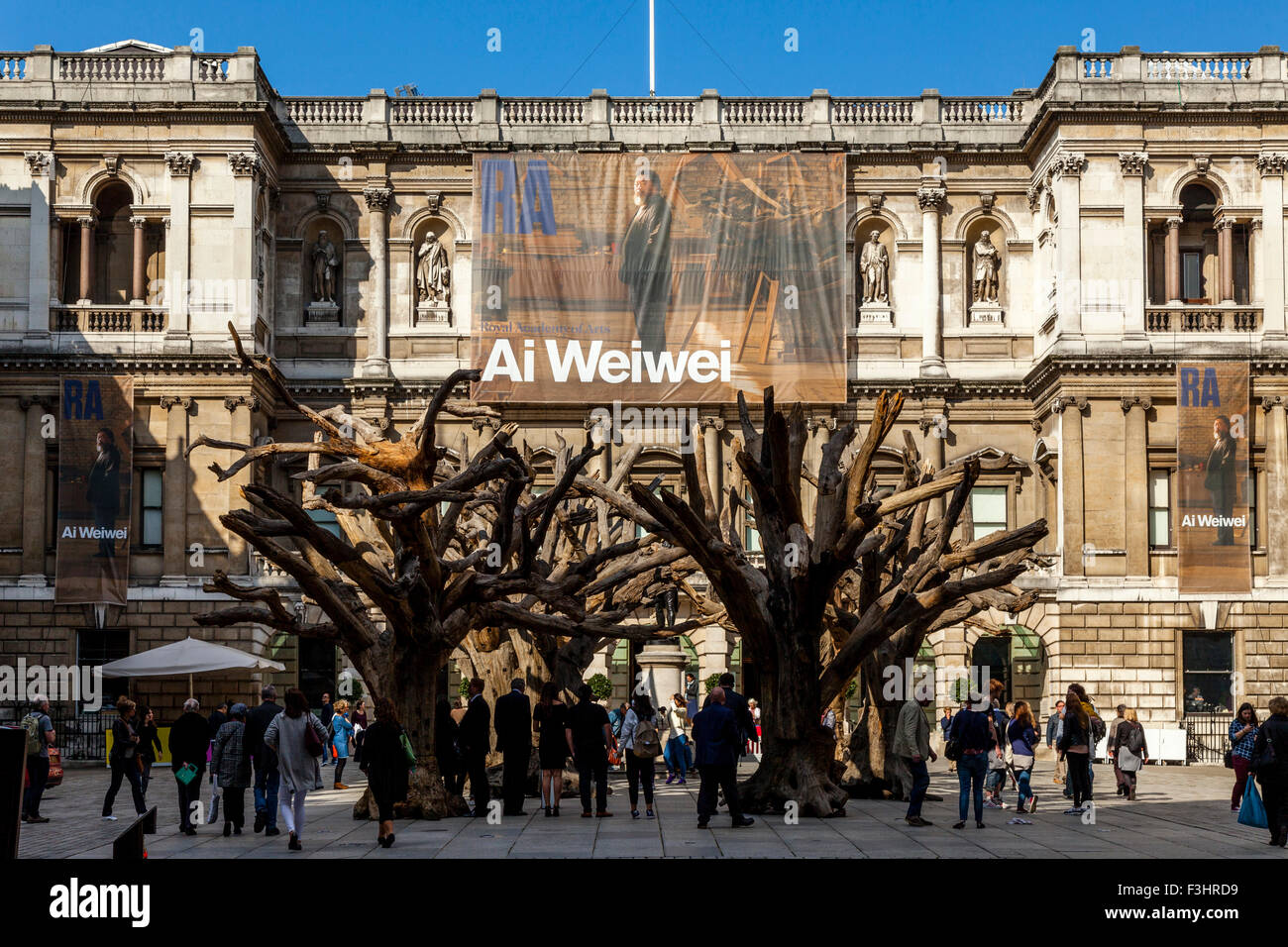 Ai Weiwei's Tree Installation In The Courtyard of The Royal Academy of Art, London, England Stock Photo