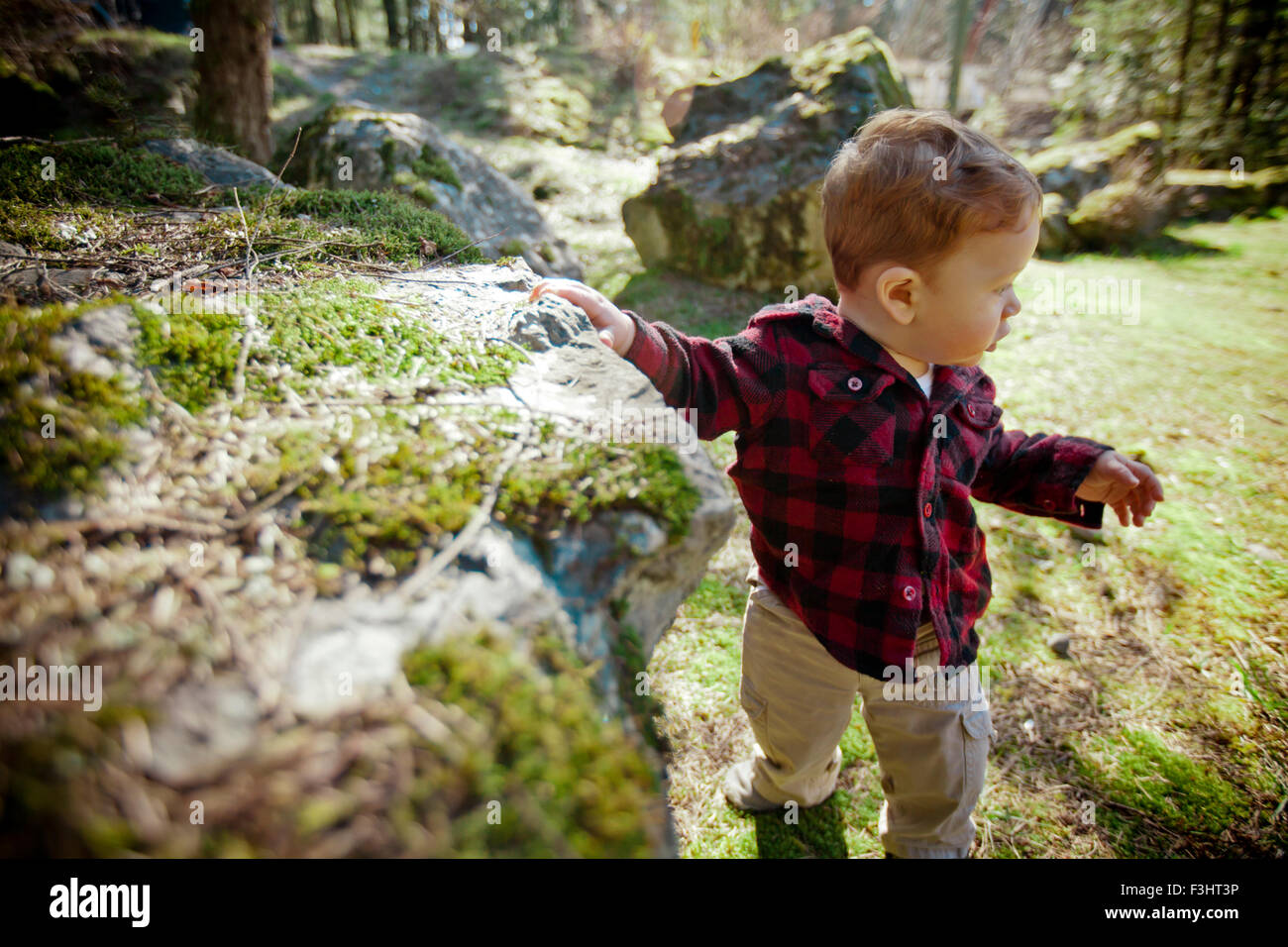 Young boy exploring nature Stock Photo