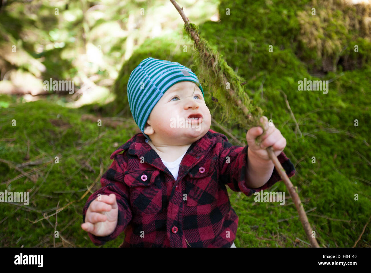 A young boy holds a tree branch that is covered in green moss. Stock Photo