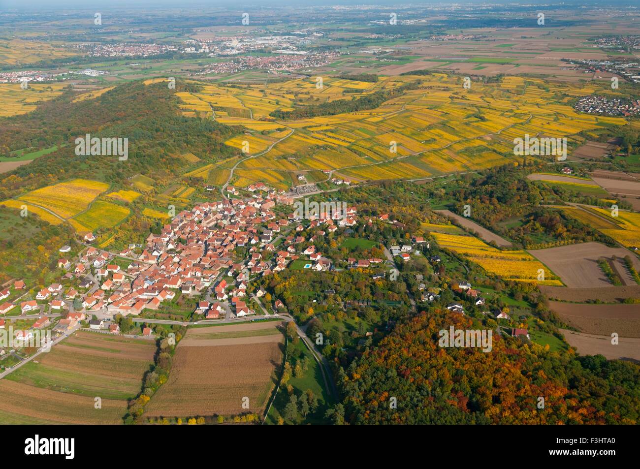 France, Bas Rhin (67), wines road, village of Rosenwiller, vineyards in ...
